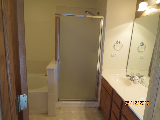 10549 Wakefield Lane Huntley, IL 60142 - Photo 15 of 19 a bathroom with a sink mirror and shower