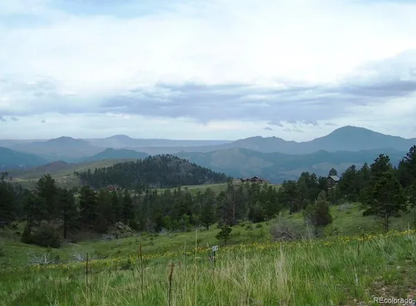 a view of city and lush green forest