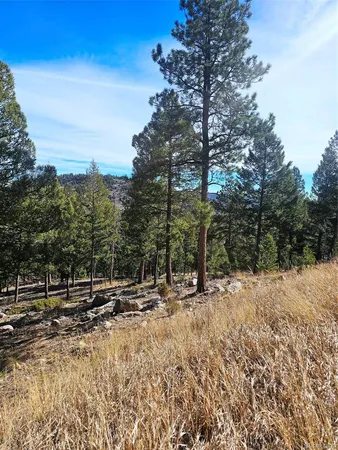 a view of street with trees