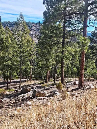 a view of outdoor space with trees