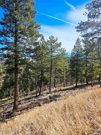 a view of outdoor space with deck and trees