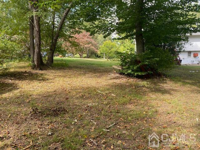 4 Holiday Road Manalapan, NJ 07726 - Photo 6 of 9 a view of backyard with green space