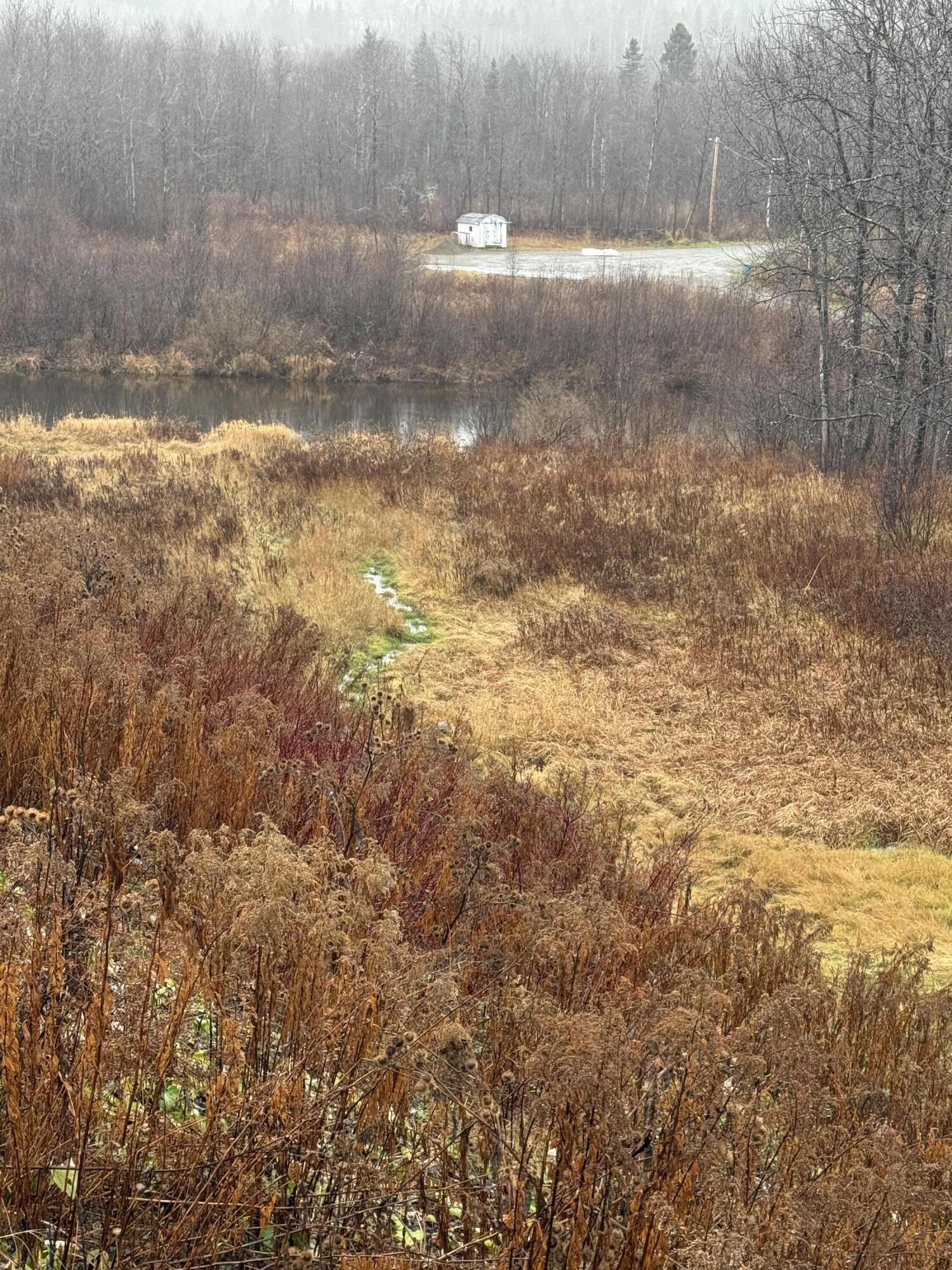 17 Lake Street Stockholm, ME 04783 - Photo 10 of 51 IMG_2294