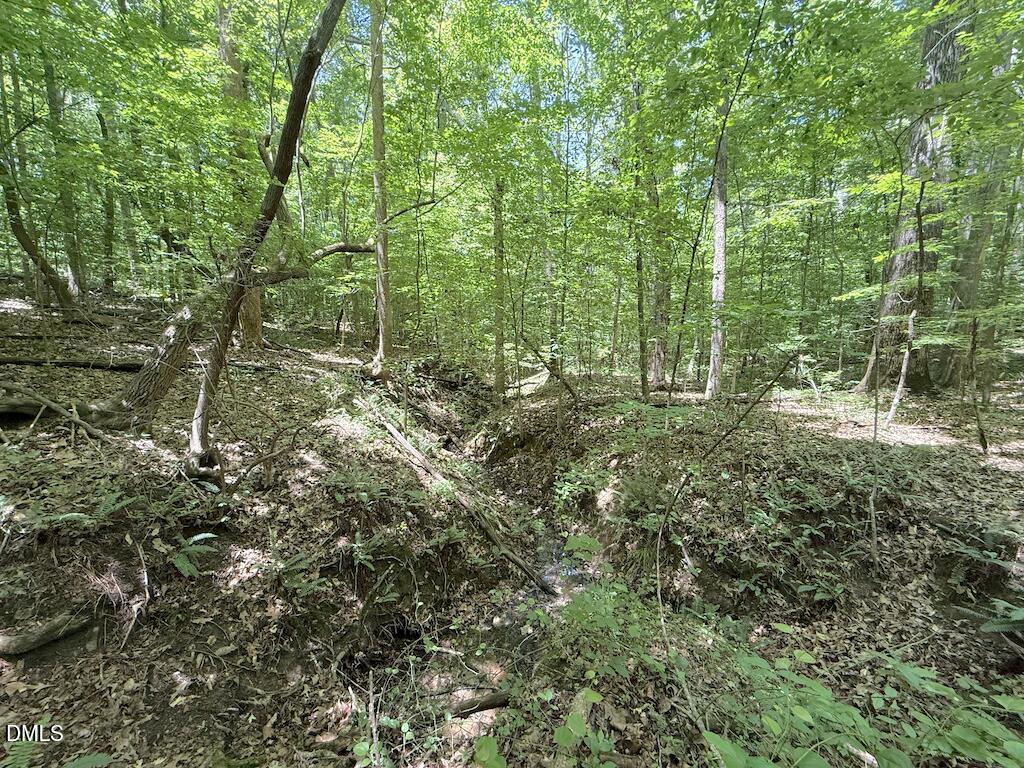 0 Buttonwood Lane Roxboro, NC 27574 - Photo 18 of 36