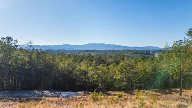 $2,600,000 | 5333 Highway 64, Copperhill, TN 37317