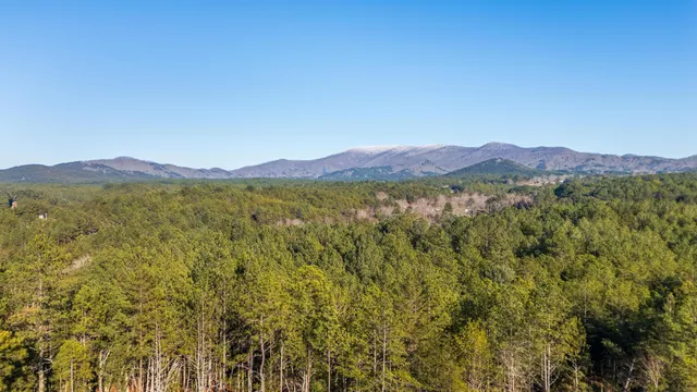 $2,600,000 | 5333 Highway 64, Copperhill, TN 37317