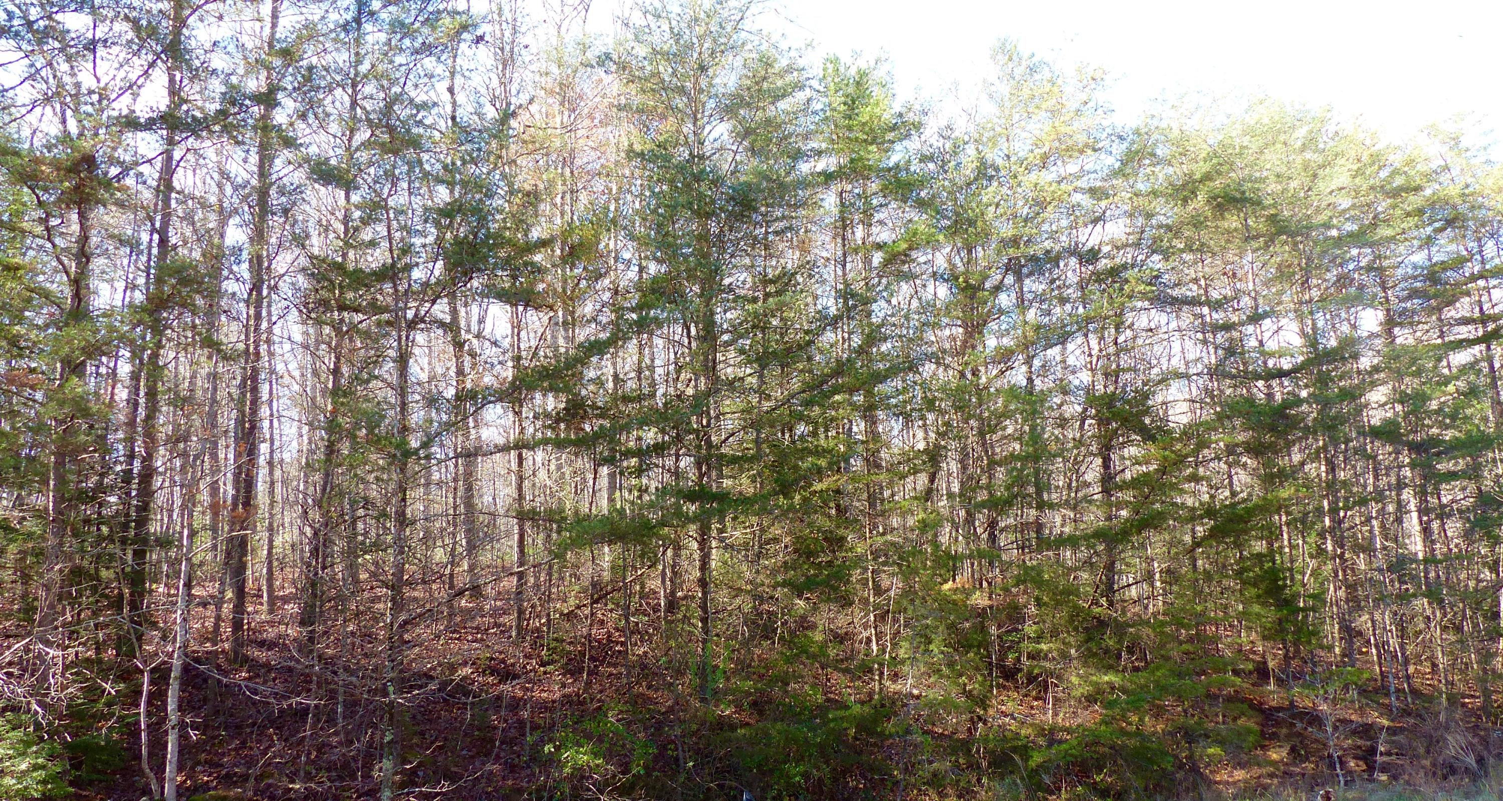 0 Cane Creek Road, Unit 21 Dunlap, TN 37327 - Photo 11 of 11 eslinger3