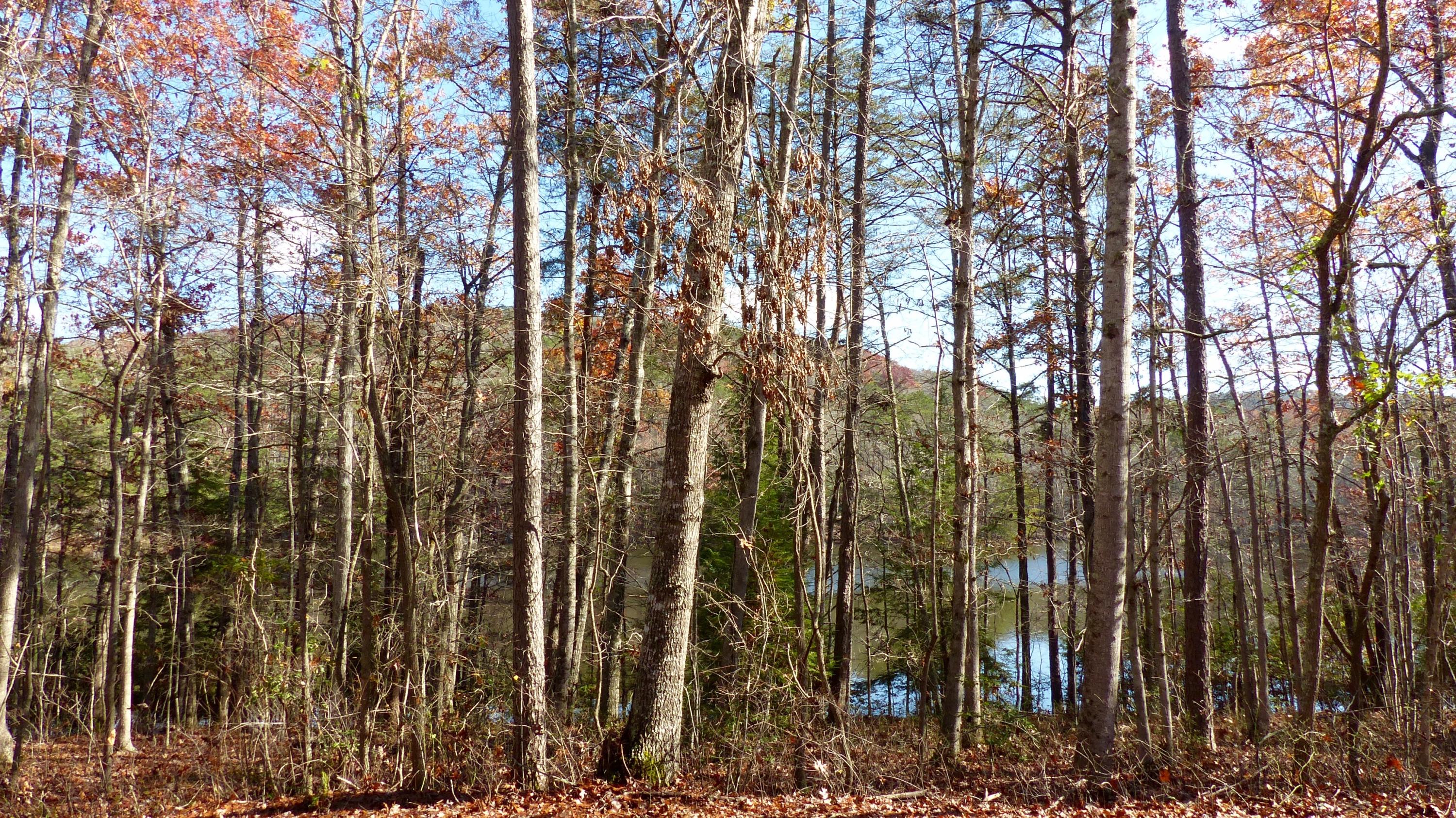 0 Cane Creek Road, Unit 21 Dunlap, TN 37327 - Photo 10 of 11 eslinger2