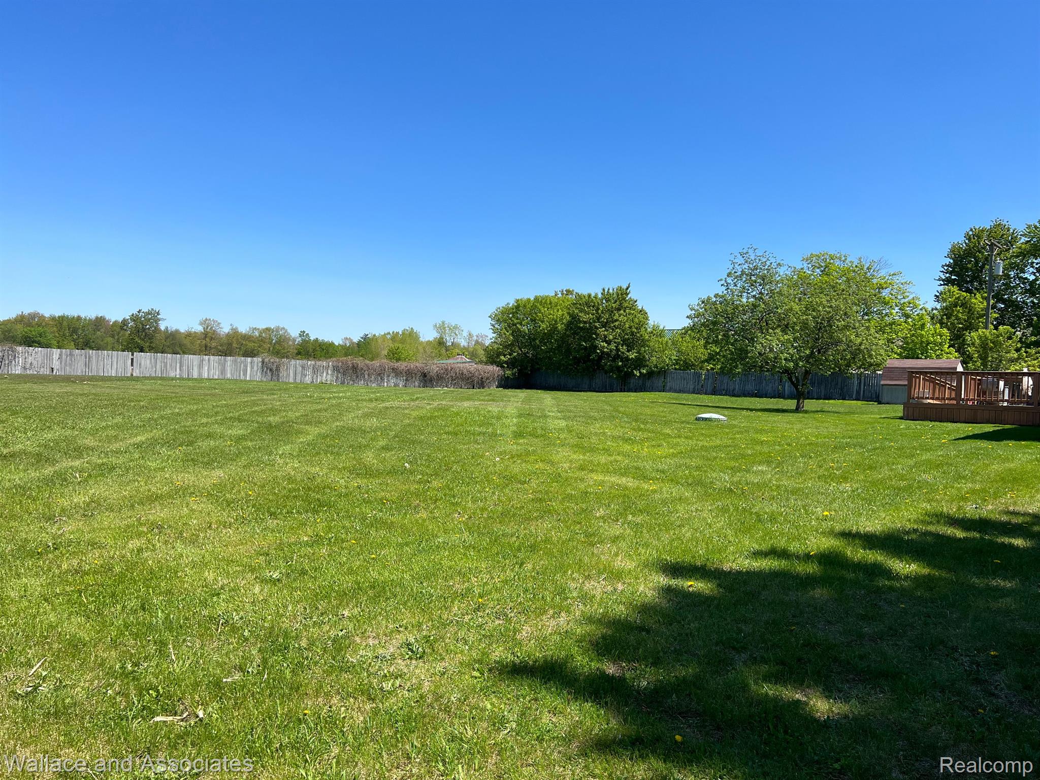 2347 West Harrington Road Croswell, MI 48422 - Photo 33 of 36 Back yard view