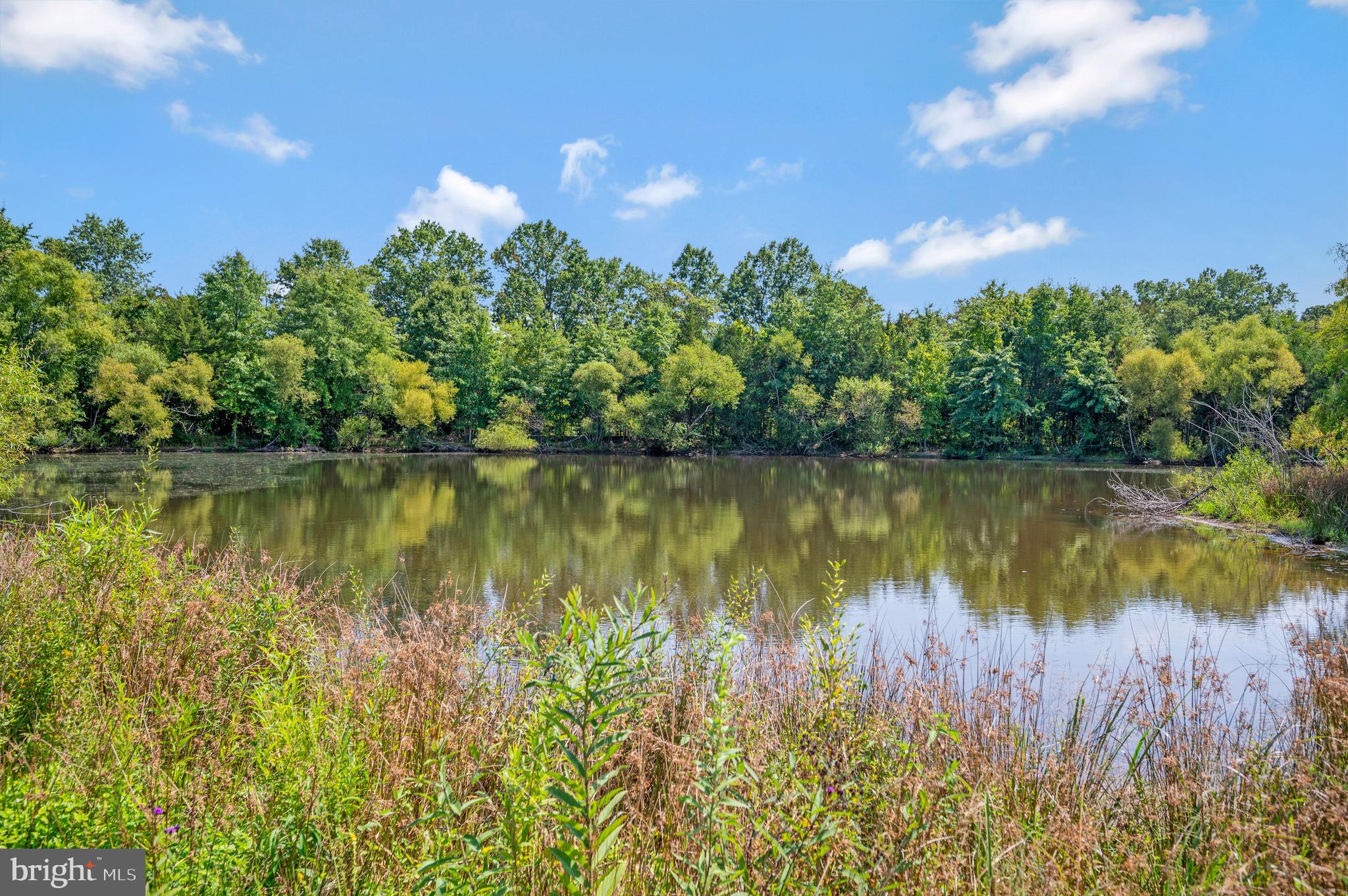 6471 Stoney Road Midland, VA 22728 - Photo 65 of 67 Backyard view
