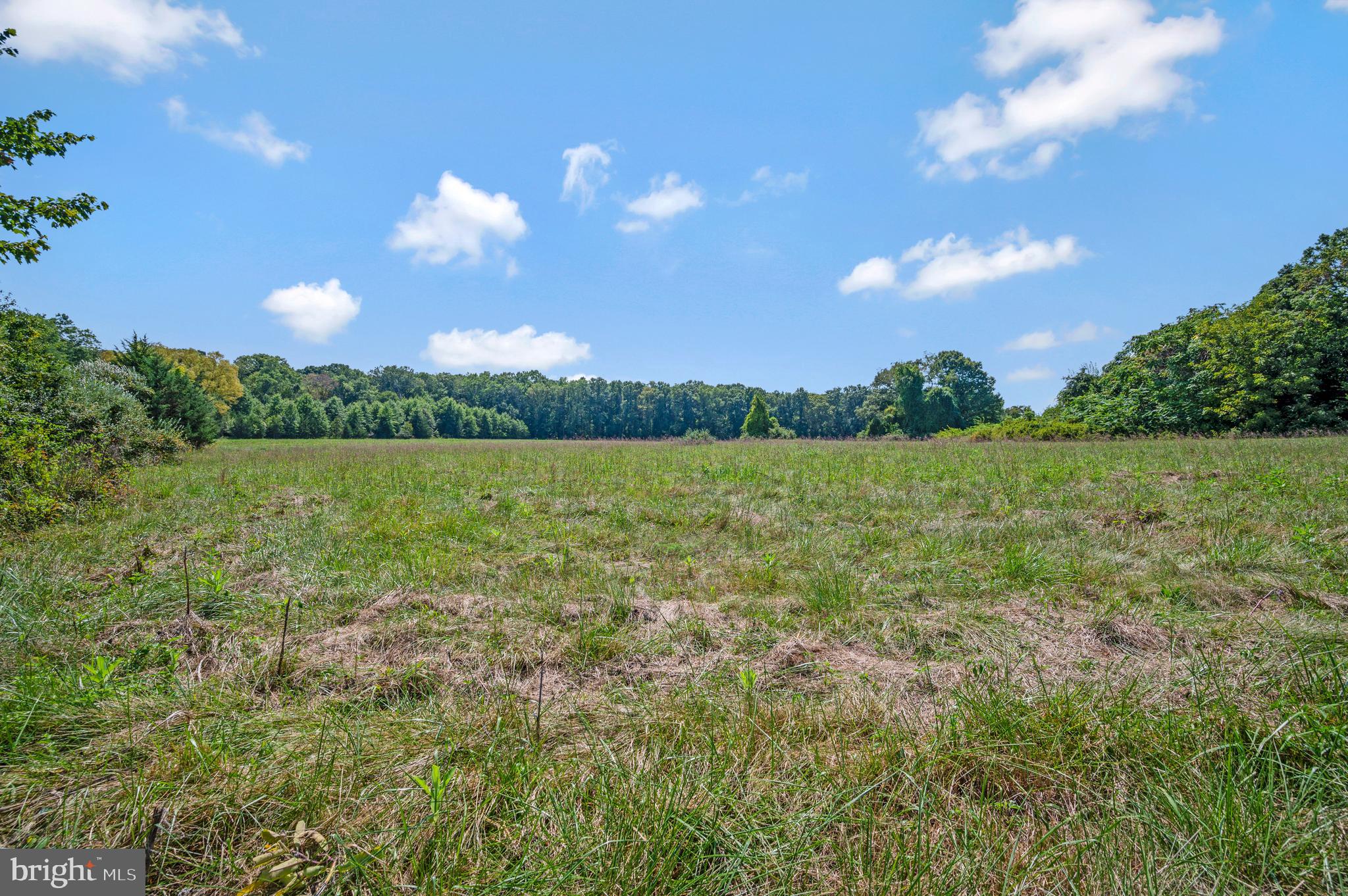 6471 Stoney Road Midland, VA 22728 - Photo 66 of 67 Side yard view