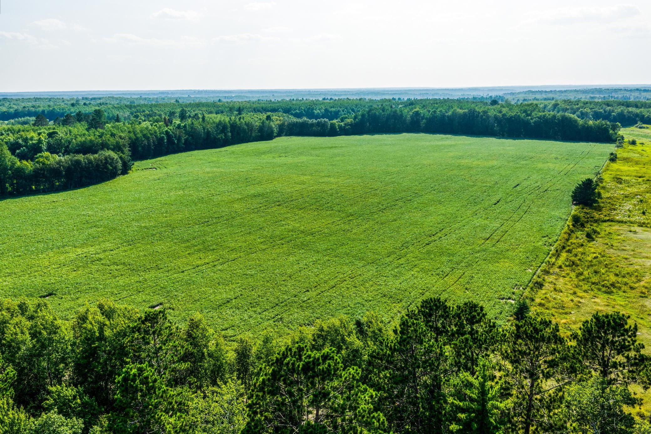Tbd Buzzle Road Northwest Shevlin, MN 56676 - Photo 1 of 15 Gallery Image 1