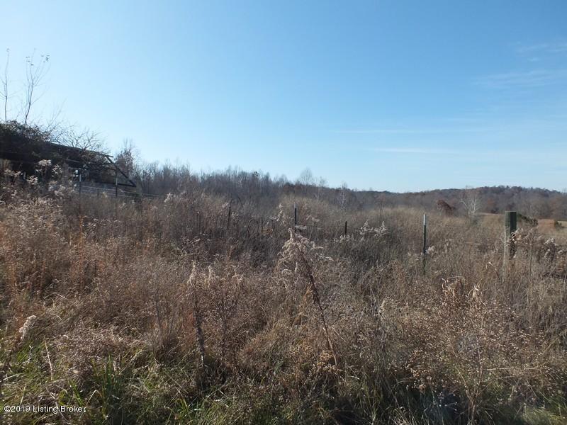 148 Turci Nevins Road Caneyville, KY 42721 - Photo 25 of 26 148 Turci Nevins Rd27