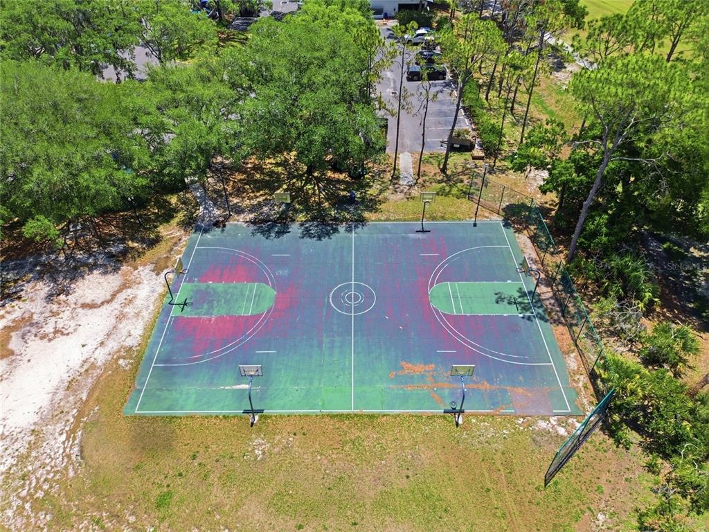 4941 Willow Ridge Terrace Valrico, FL 33596 - Photo 48 of 50