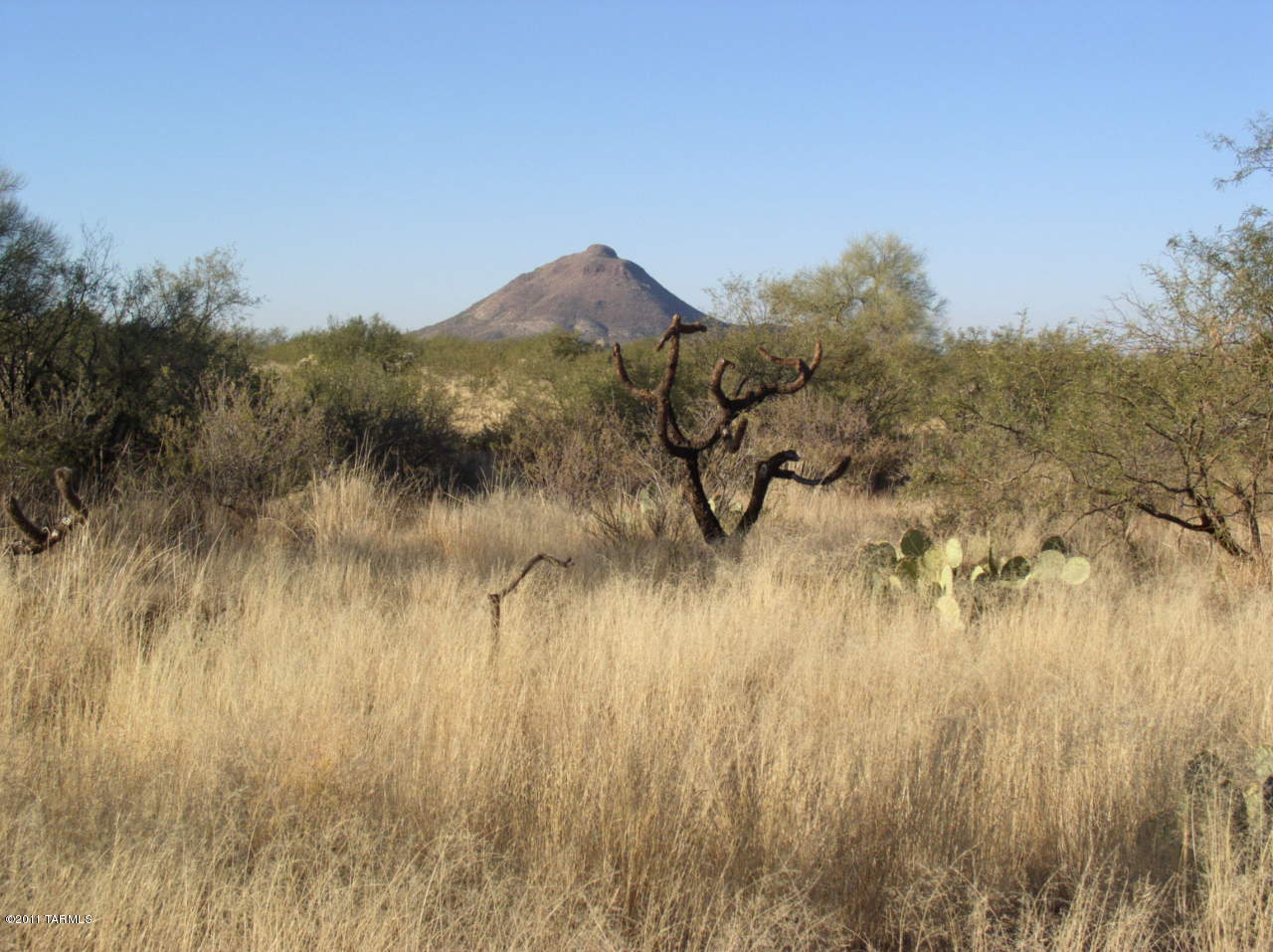 23400 West Ressie Road Tucson, AZ 85735 - Photo 3 of 3
