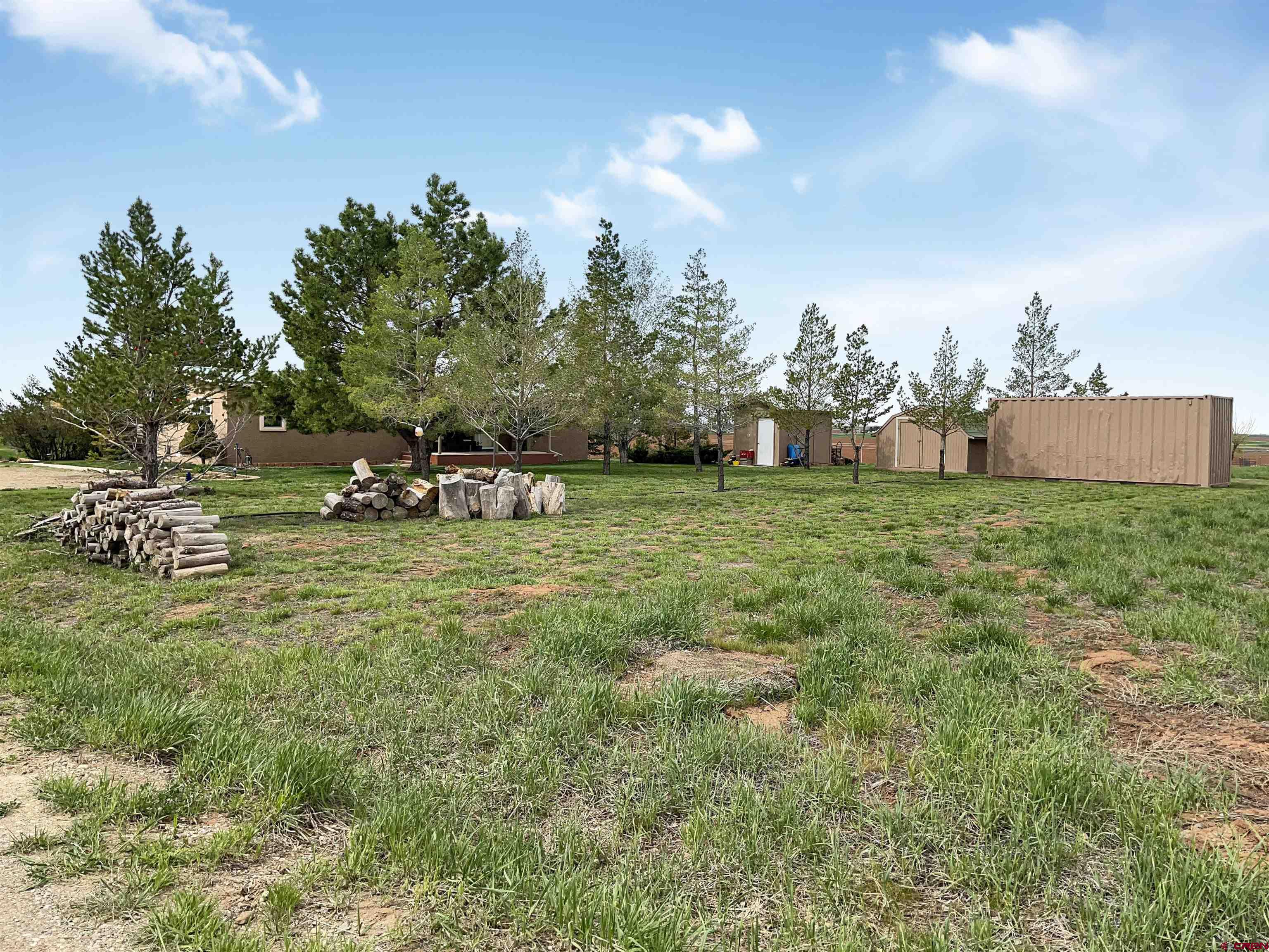 15200 Rd CC Pleasant View, CO 81331 - Photo 16 of 35 a view of a park with large trees