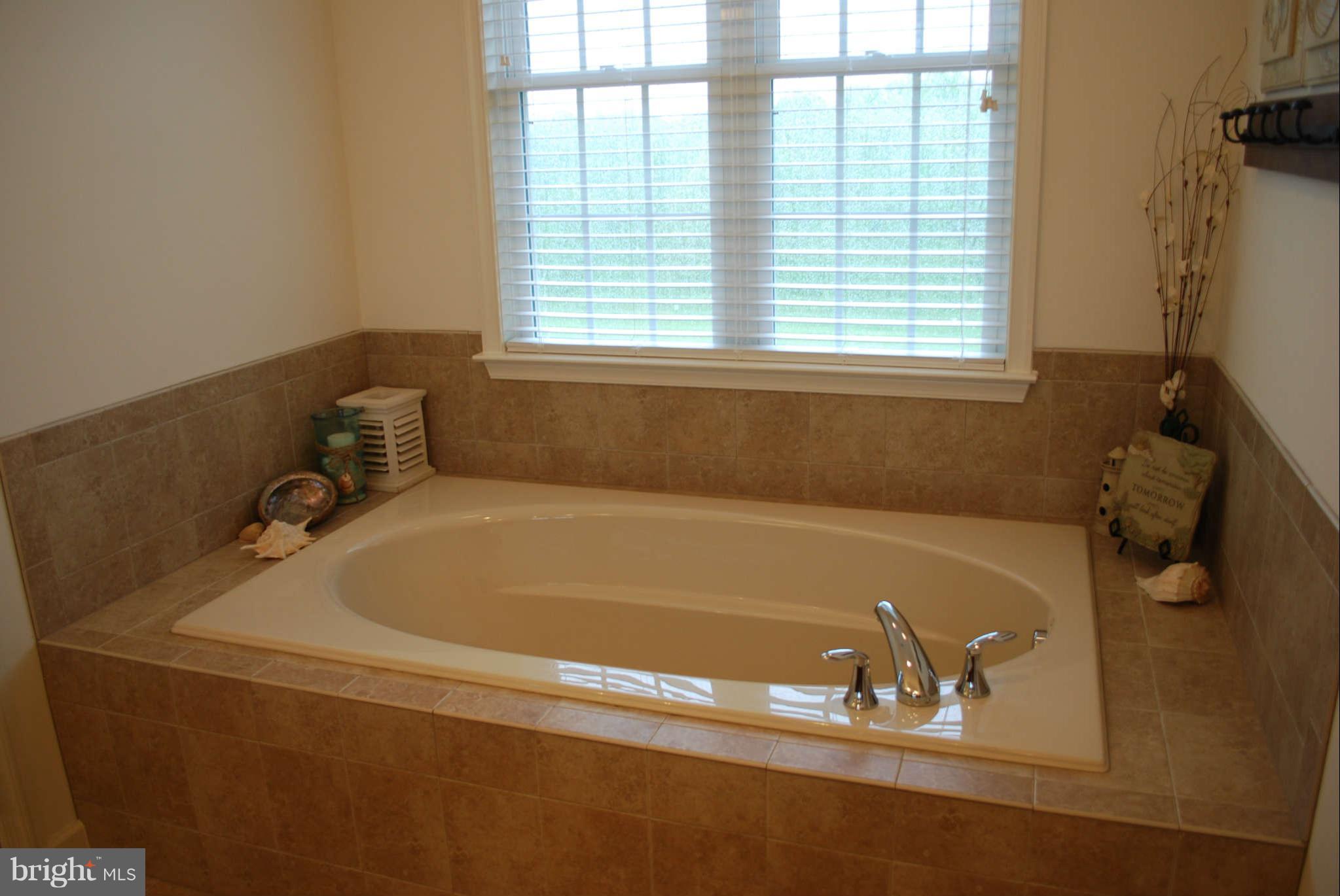 7209 Talbot Run Road Mount Airy, MD 21771 - Photo 18 of 25 a bathroom with a tub and a window
