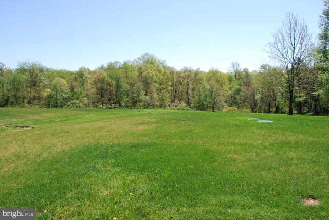 7209 Talbot Run Road Mount Airy, MD 21771 - Photo 25 of 25 a backyard of a house with lots of green space