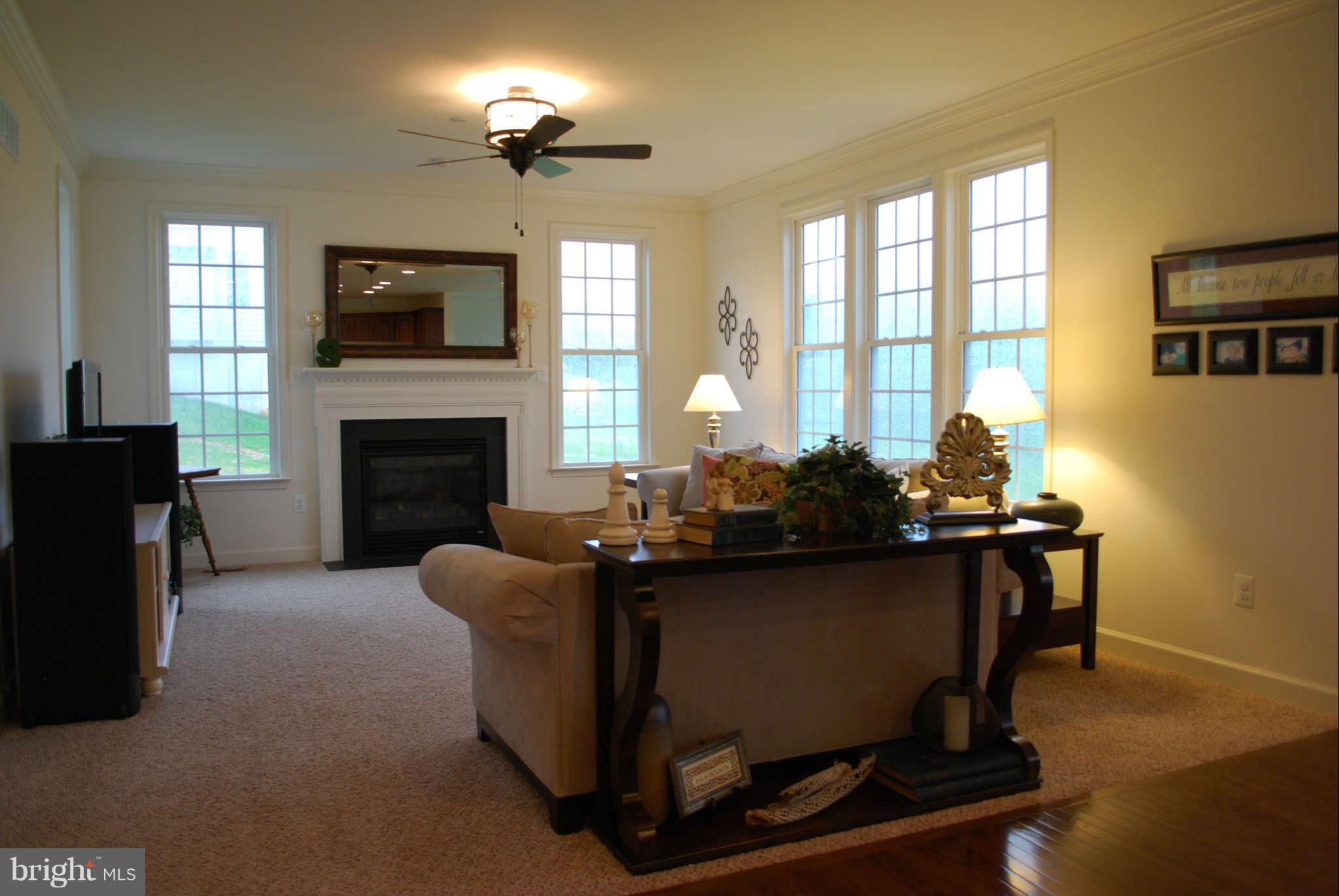 7209 Talbot Run Road Mount Airy, MD 21771 - Photo 9 of 25 a living room with furniture a flat screen tv and a fireplace