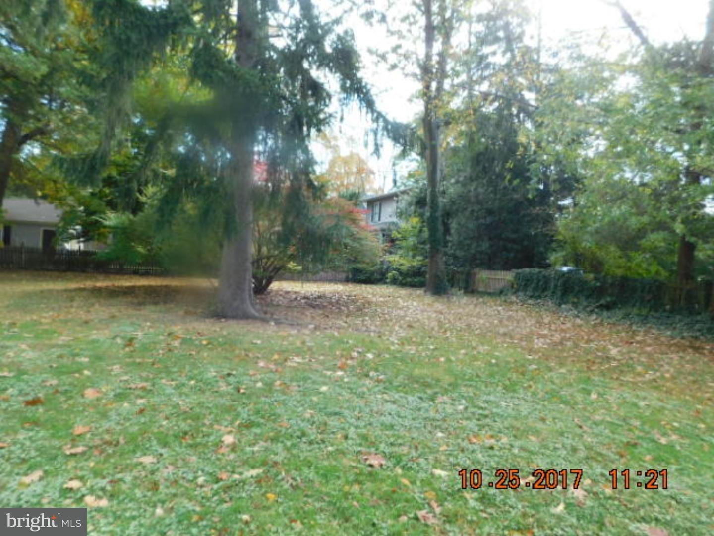 115 Chews Landing Road Haddonfield, NJ 08033 - Photo 3 of 15