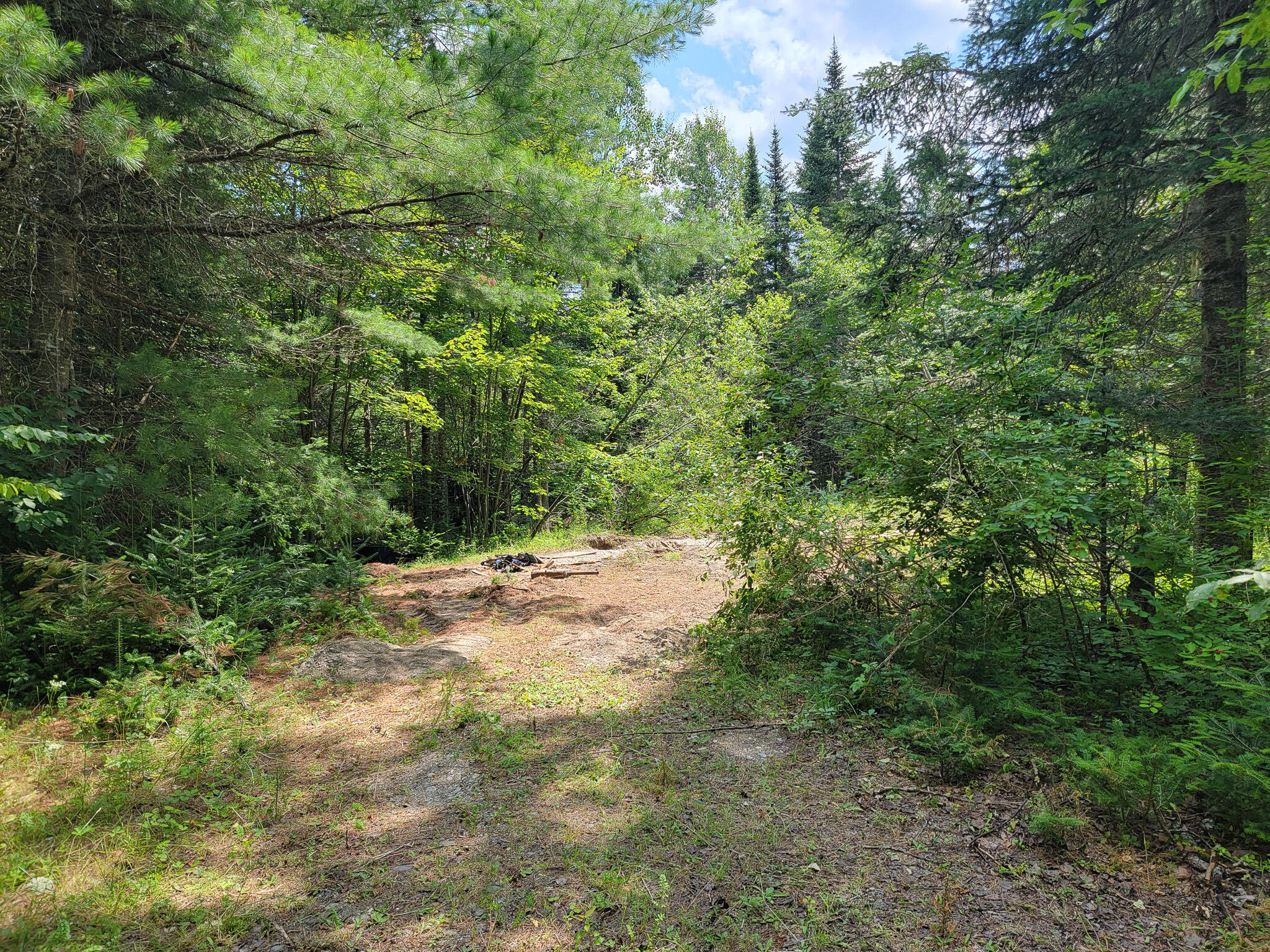 Lot 2 Old Winn Road Springfield, ME 04487 - Photo 9 of 12 20230725_122828