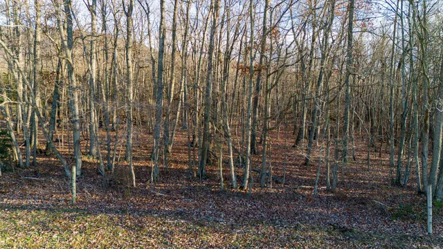 a view of outdoor space with lots of swings