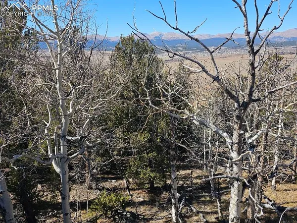 $85,000 | 5585 Middle Fork Vista, Fairplay, CO 80440