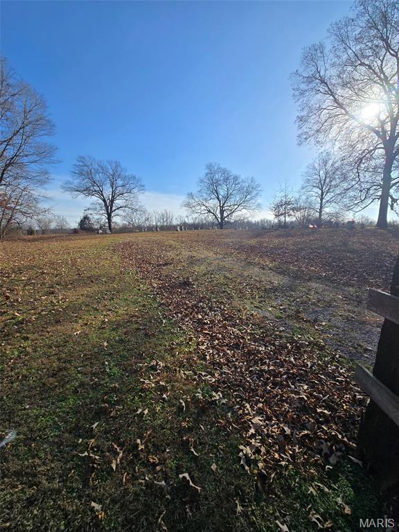 0 Grassy Creek Road Stonefort, IL 62987 - Photo 3 of 8