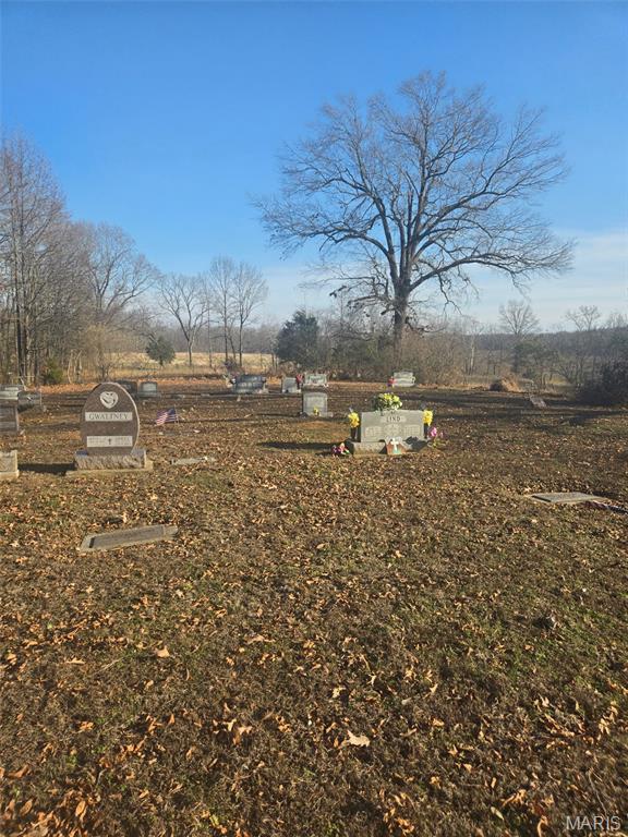 0 Grassy Creek Road Stonefort, IL 62987 - Photo 4 of 8