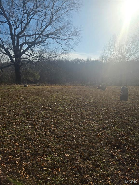 0 Grassy Creek Road Stonefort, IL 62987 - Photo 5 of 8