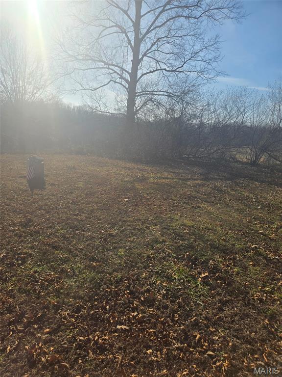 0 Grassy Creek Road Stonefort, IL 62987 - Photo 6 of 8