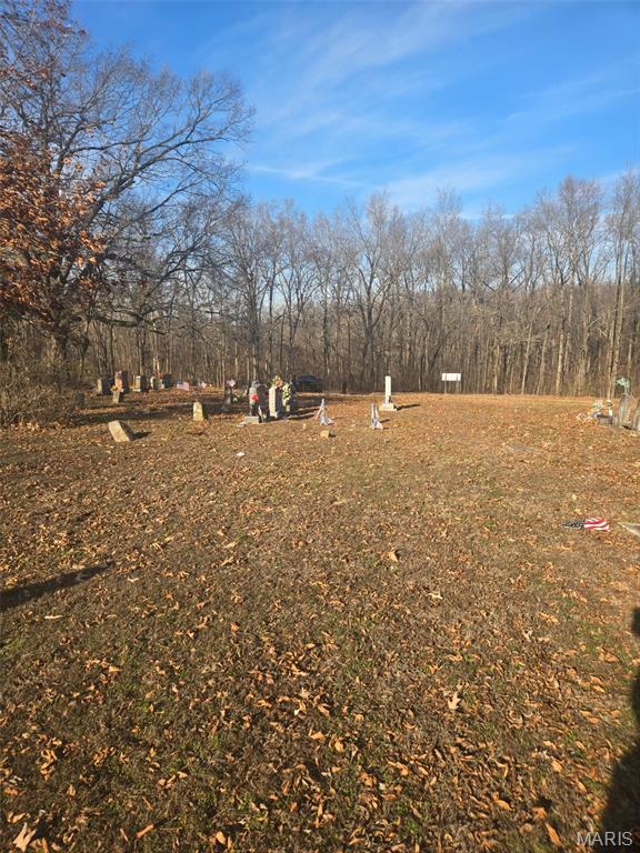 0 Grassy Creek Road Stonefort, IL 62987 - Photo 7 of 8