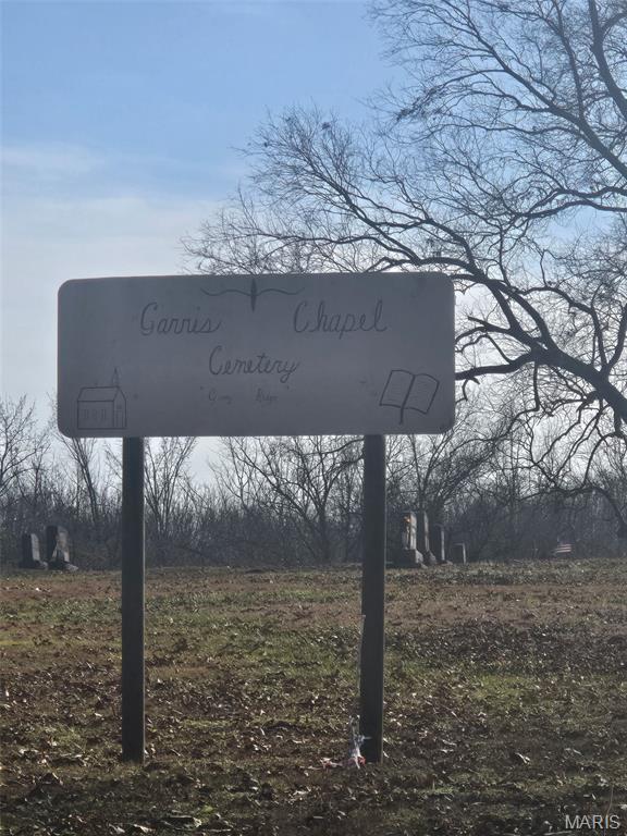 0 Grassy Creek Road Stonefort, IL 62987 - Photo 8 of 8