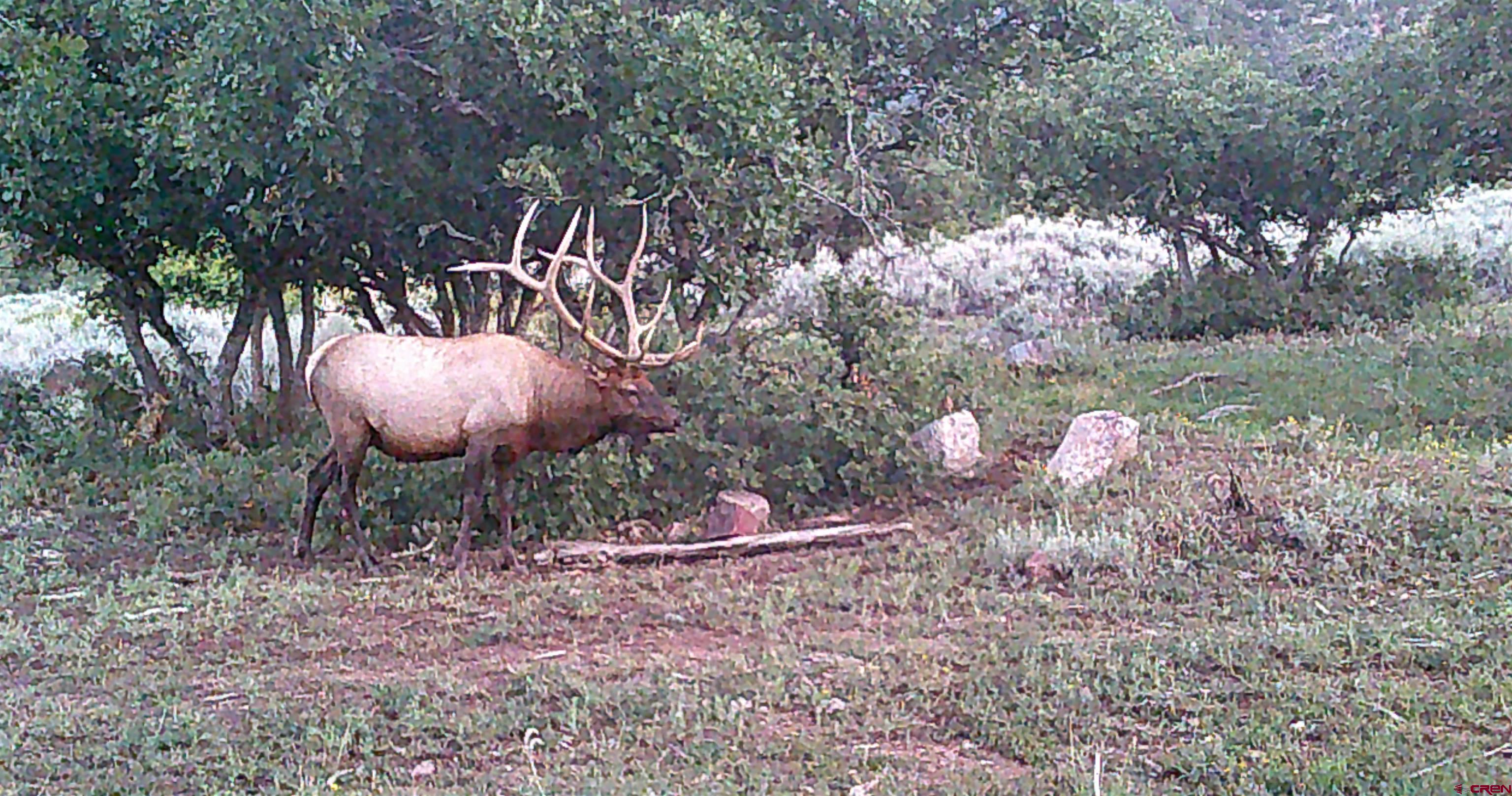 Tbd Tbd Ms Road Glade Park, CO 81523 - Photo 20 of 20