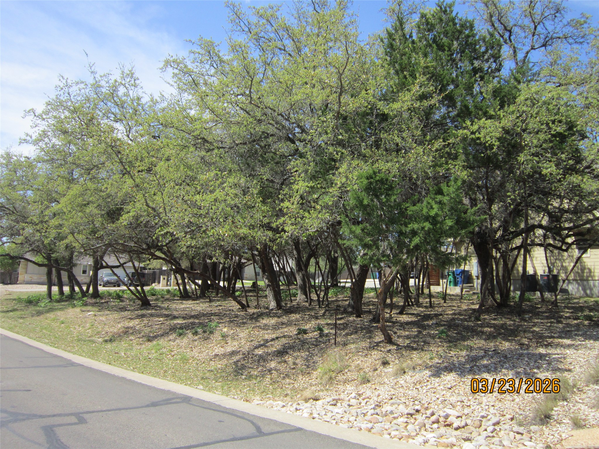 a view of road with trees