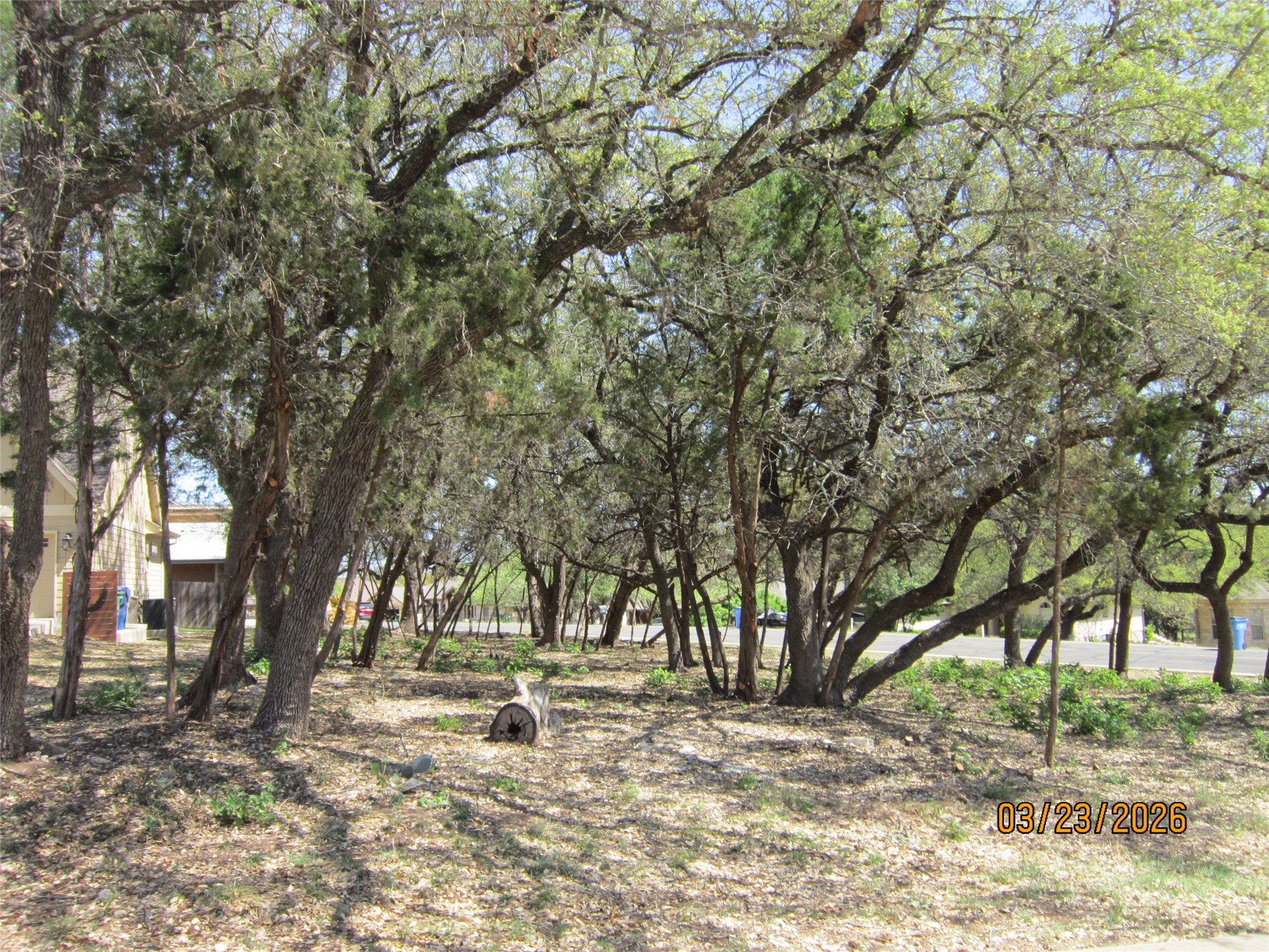 18804 Venture Drive Point Venture, TX 78645 - Photo 15 of 24 a view of a yard with a tree