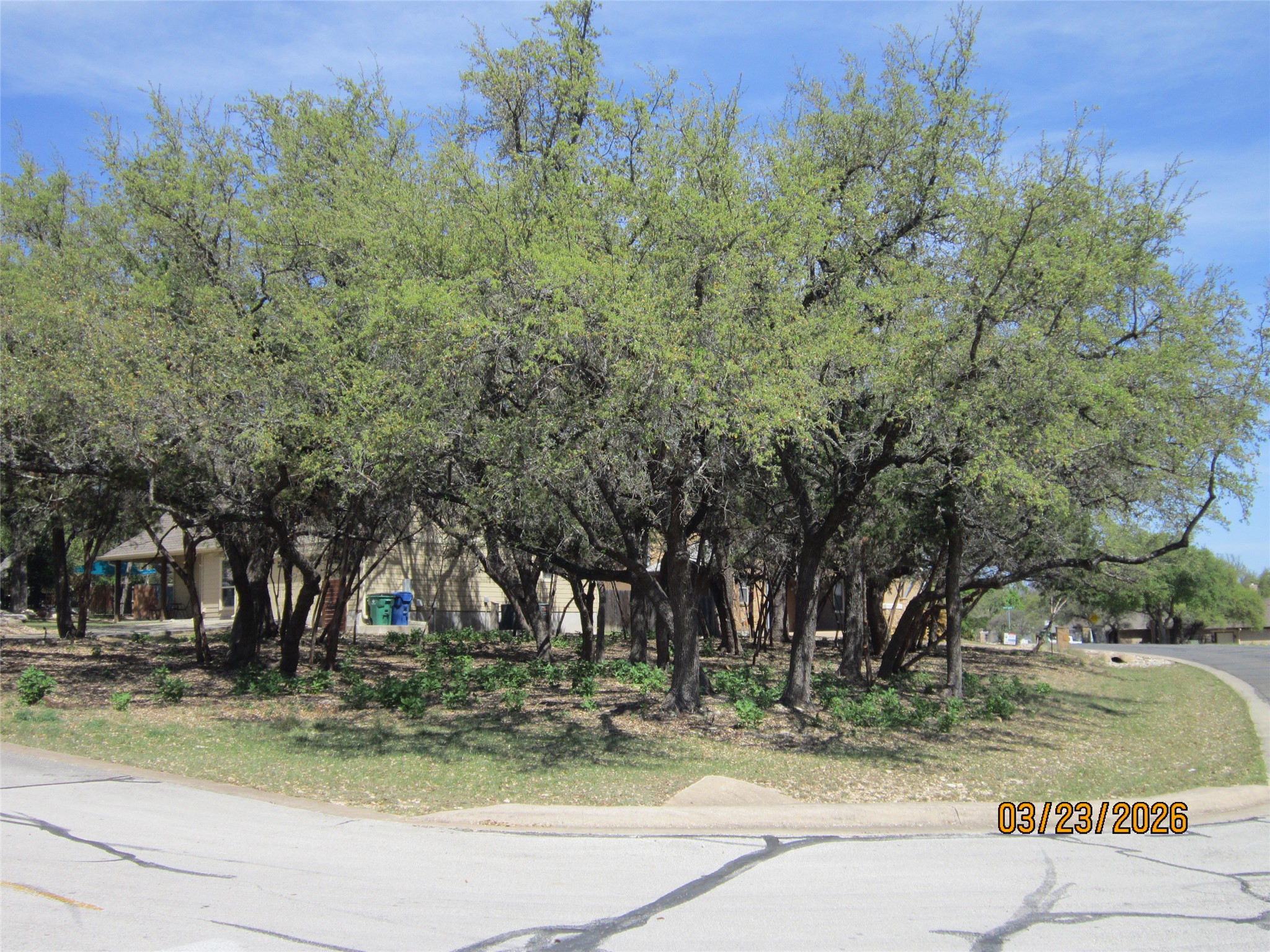 18804 Venture Drive Point Venture, TX 78645 - Photo 16 of 24