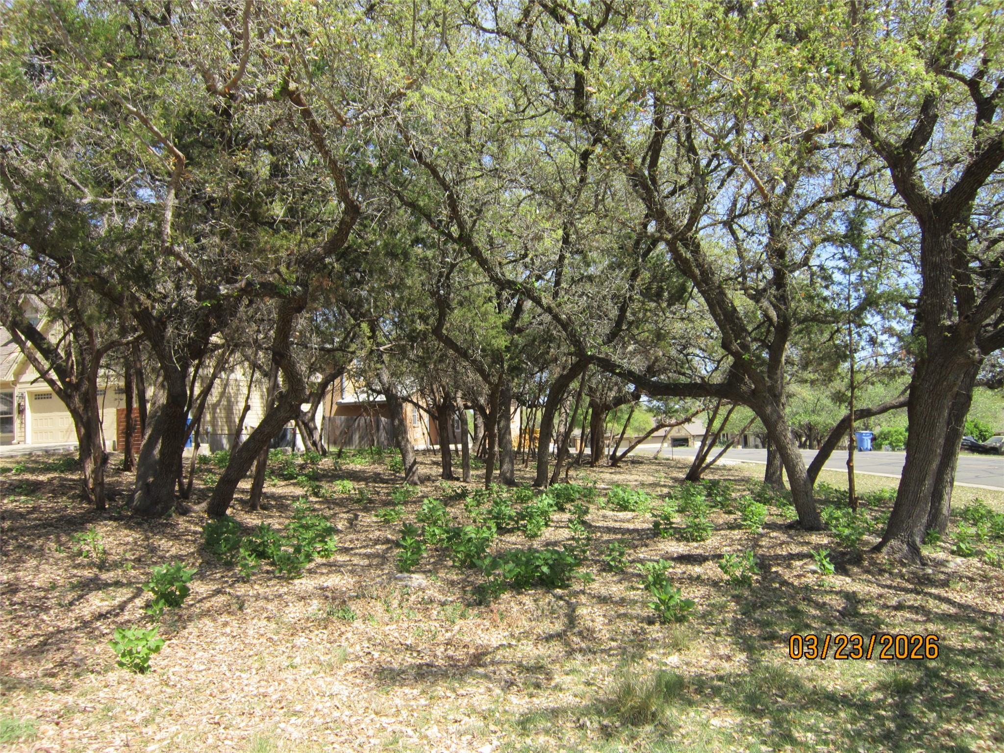 18804 Venture Drive Point Venture, TX 78645 - Photo 20 of 24 a backyard of a house with lots of green space
