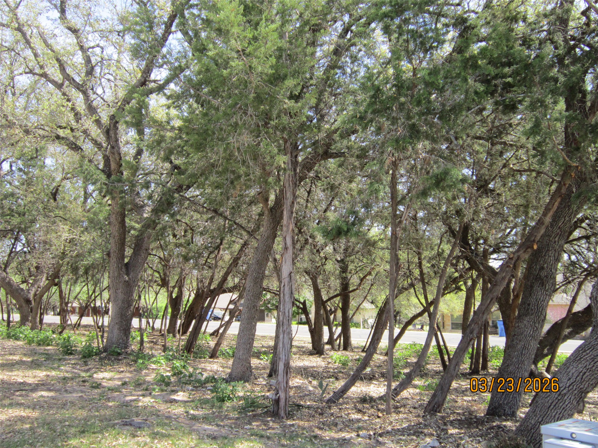 18804 Venture Drive Point Venture, TX 78645 - Photo 2 of 24 a view of outdoor space with lots of trees