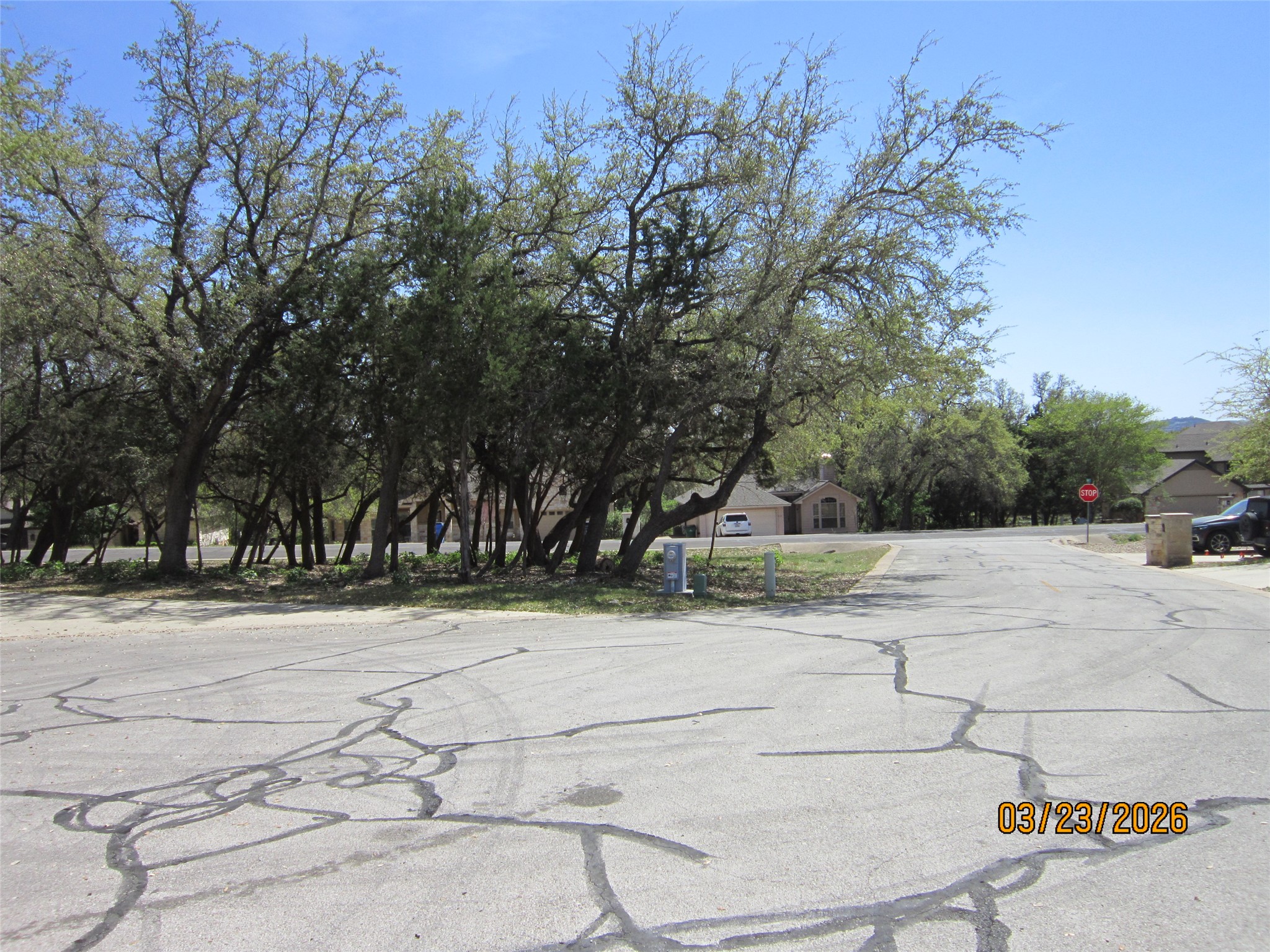18804 Venture Drive Point Venture, TX 78645 - Photo 21 of 24 a view of a yard with basketball court