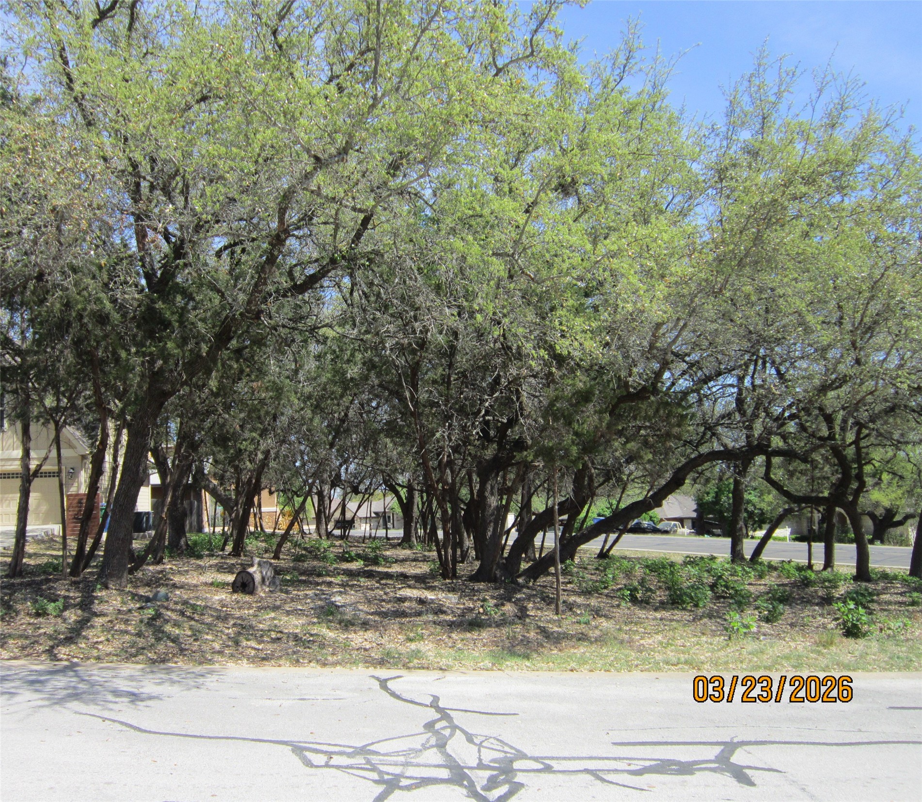 18804 Venture Drive Point Venture, TX 78645 - Photo 22 of 24 a view of a tree with a yard