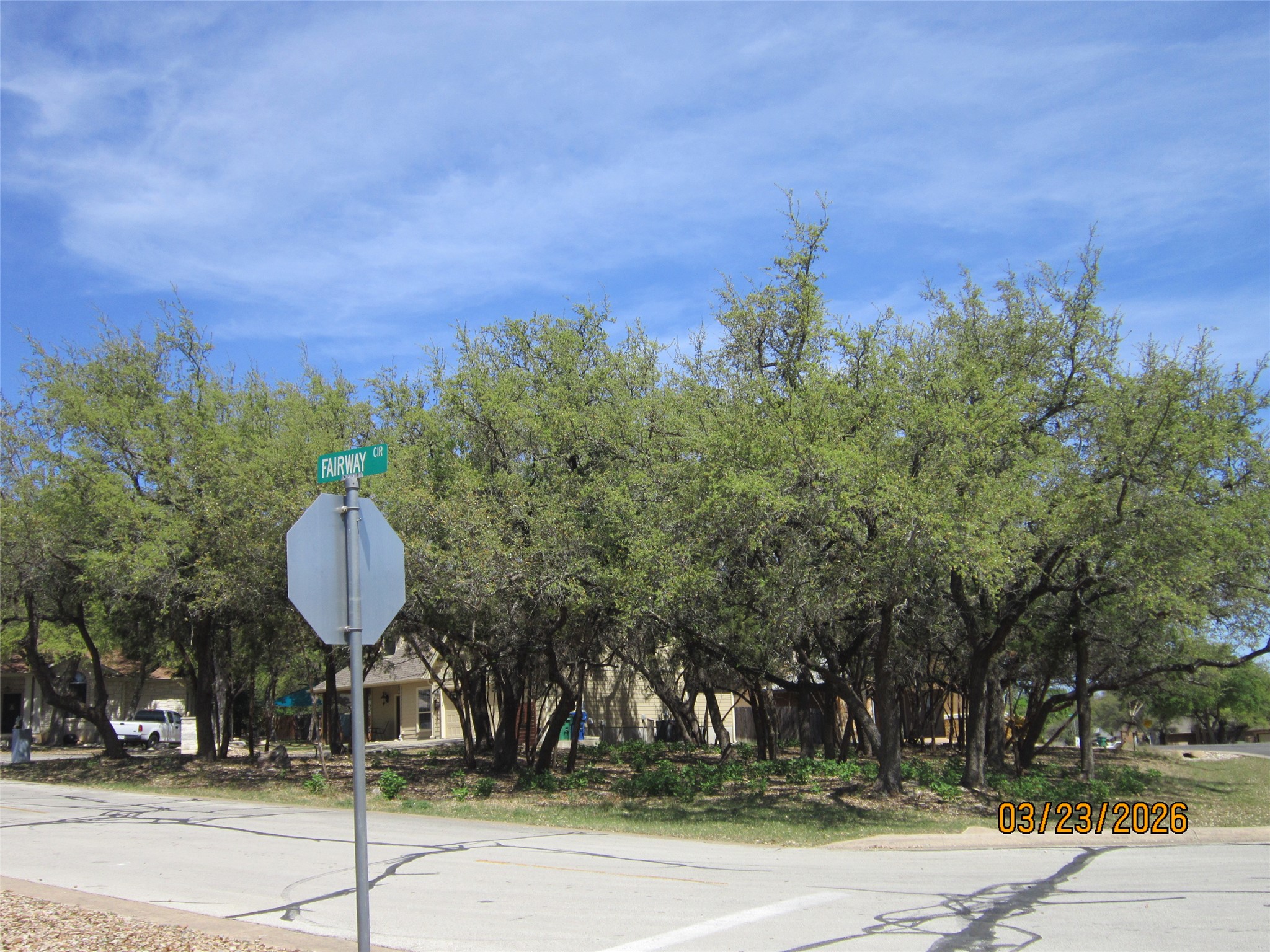 18804 Venture Drive Point Venture, TX 78645 - Photo 23 of 24 a view of a fountain in front of the house