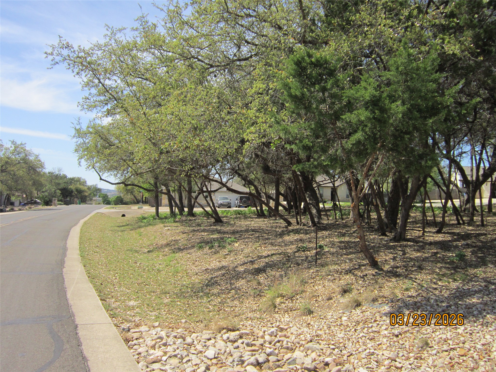 18804 Venture Drive Point Venture, TX 78645 - Photo 5 of 24 a view of a yard with a tree