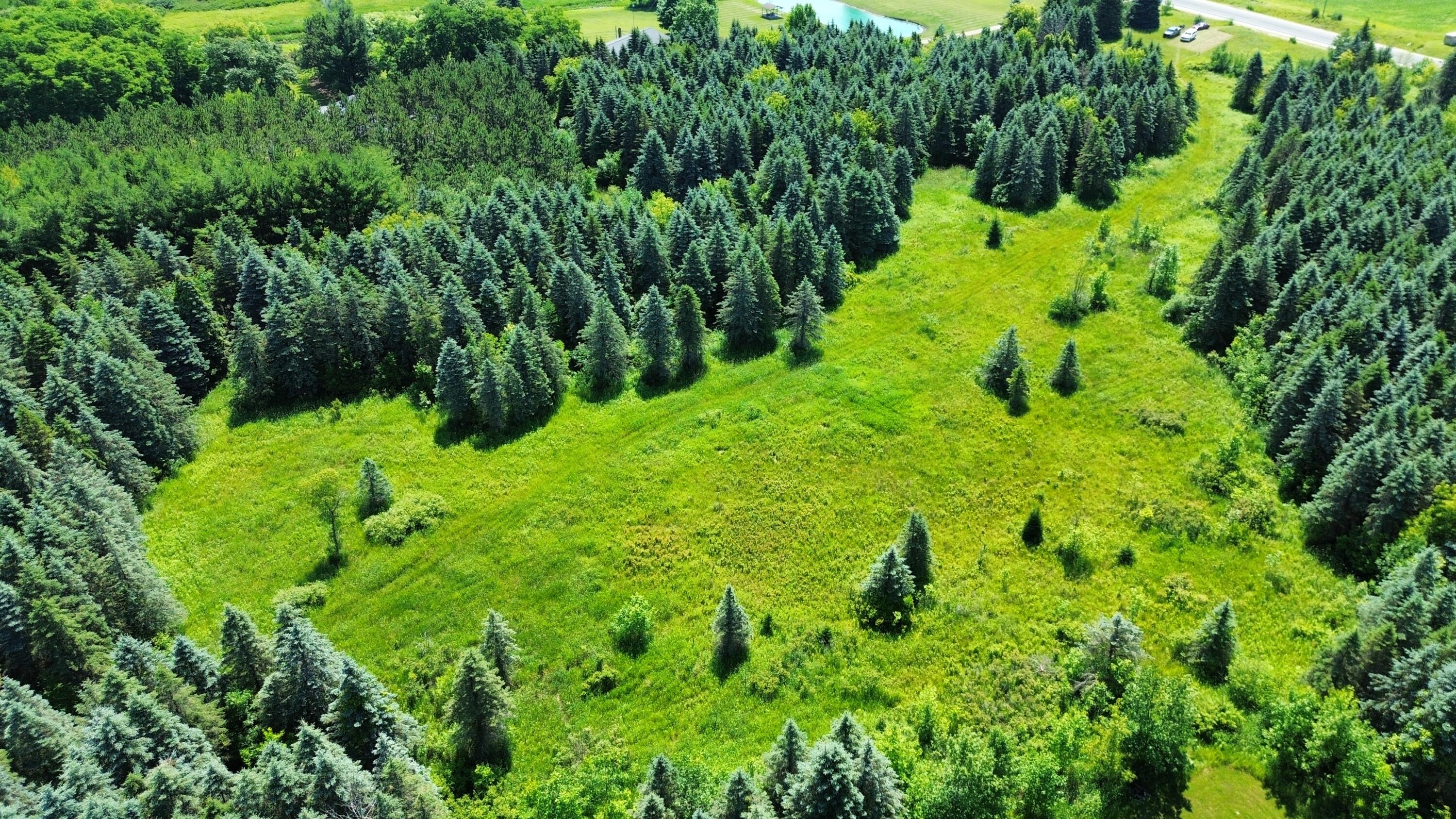 East Carson City Road Sheridan, MI 48884 - Photo 4 of 11 dji_fly_20260629_000930_48_1782664607360