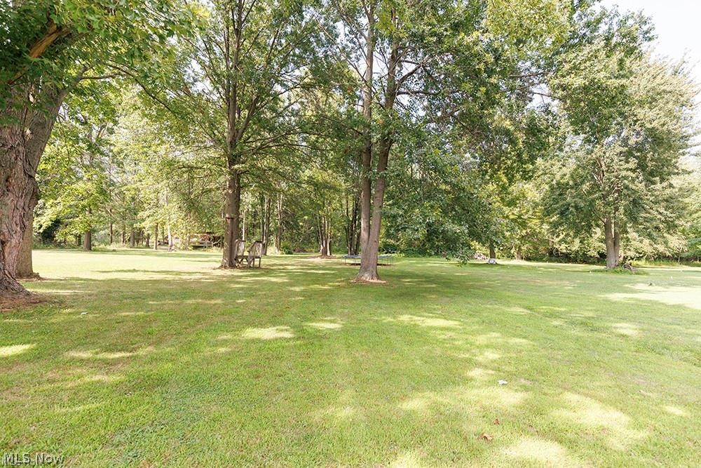Expansive lawn featuring mature trees and dappled sunlight