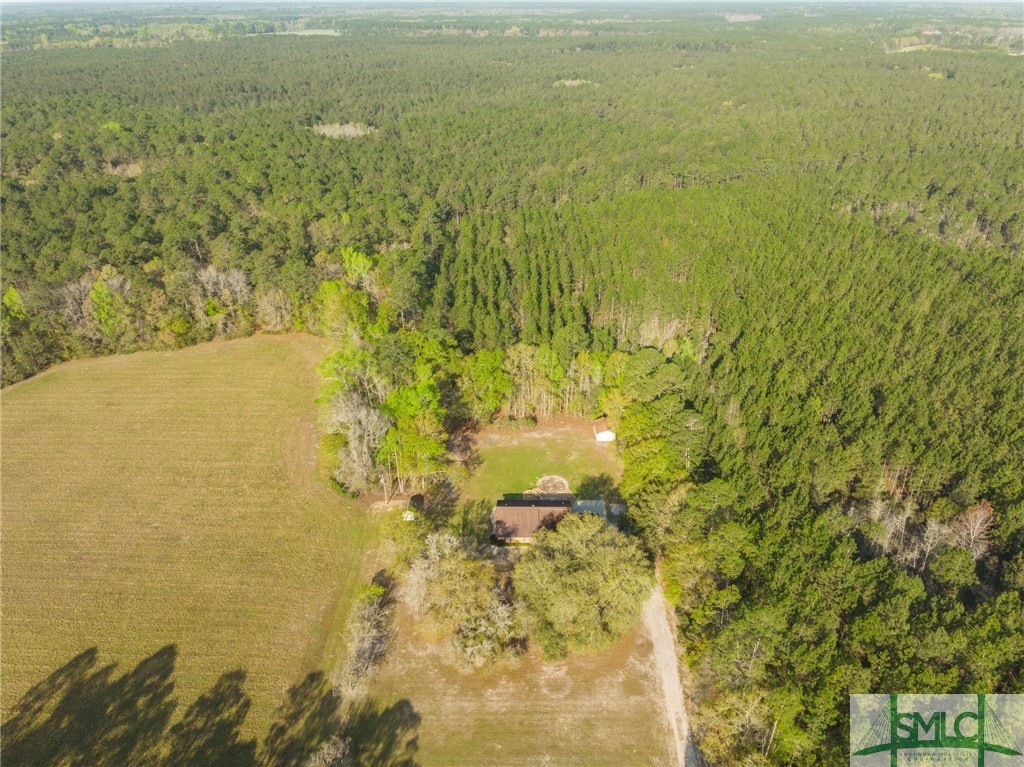 1249 West H Morris Road Brooklet, GA 30415 - Photo 34 of 37