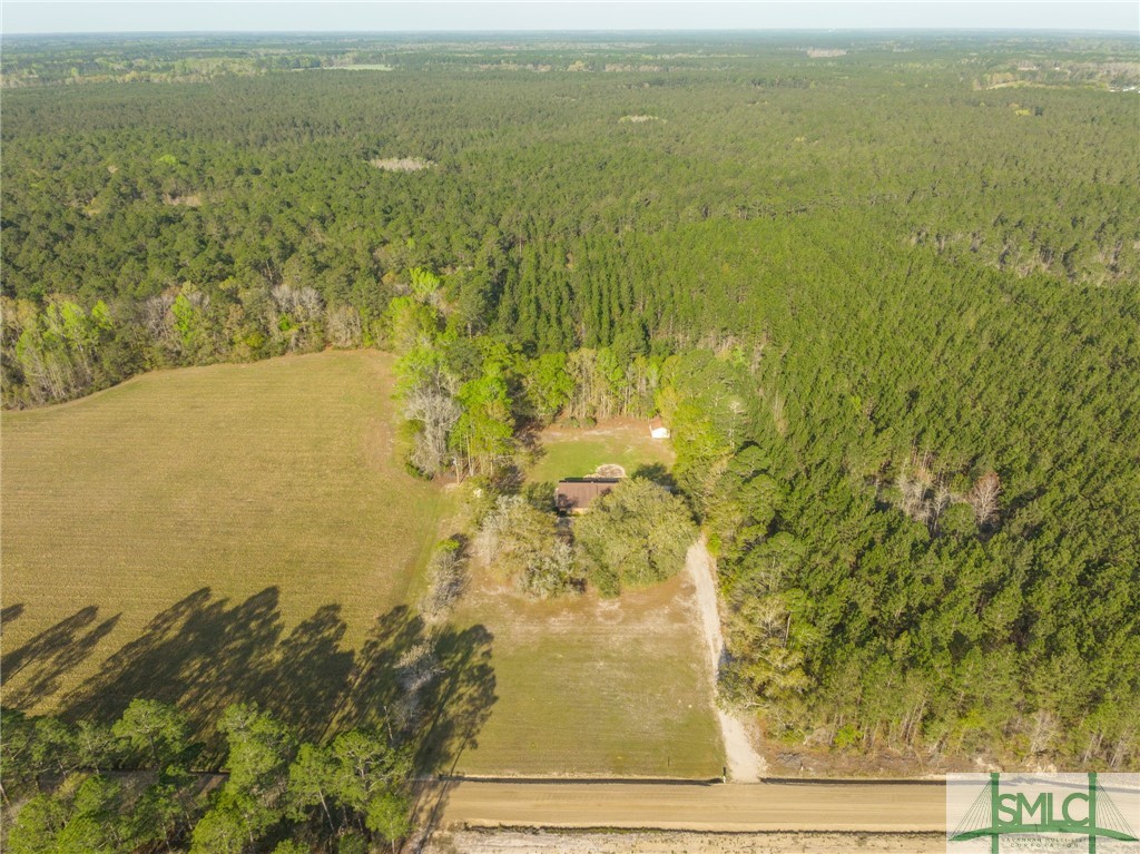 1249 West H Morris Road Brooklet, GA 30415 - Photo 35 of 37