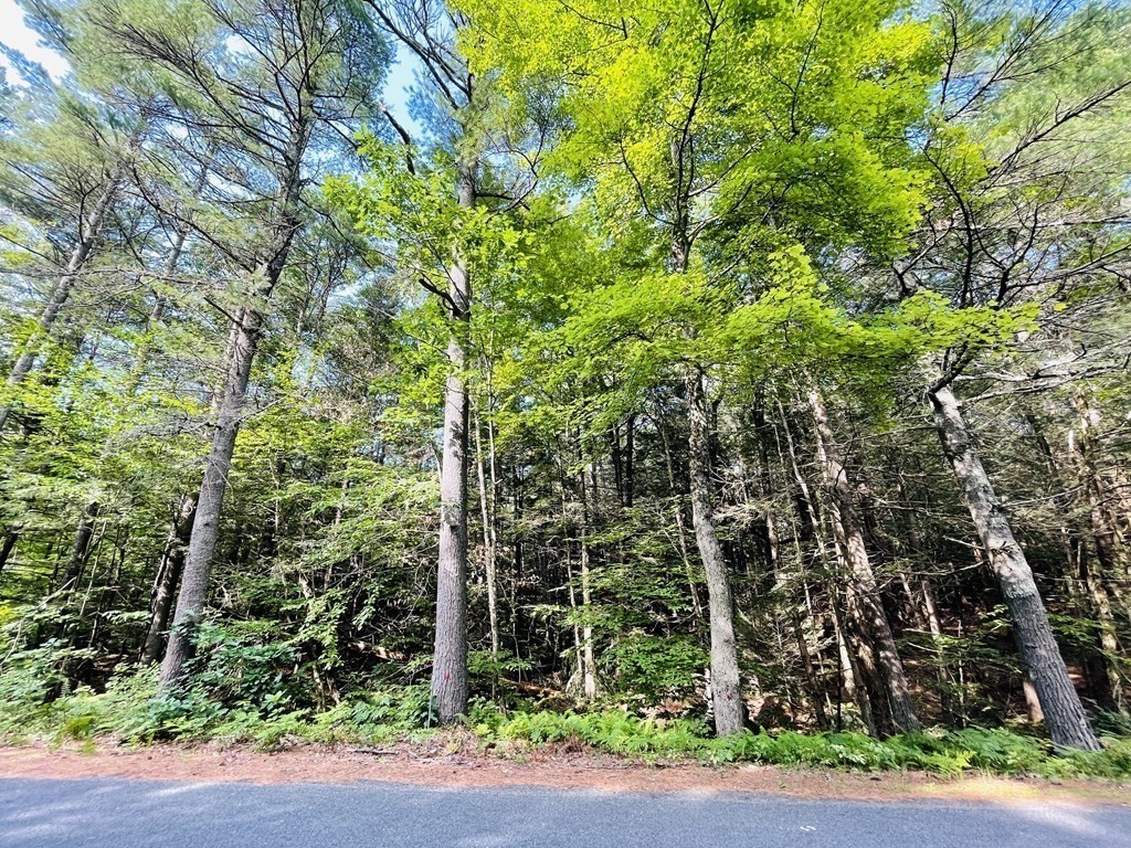 0 Morgan Road Hubbardston, MA 01452 - Photo 1 of 3 Gallery Image 1