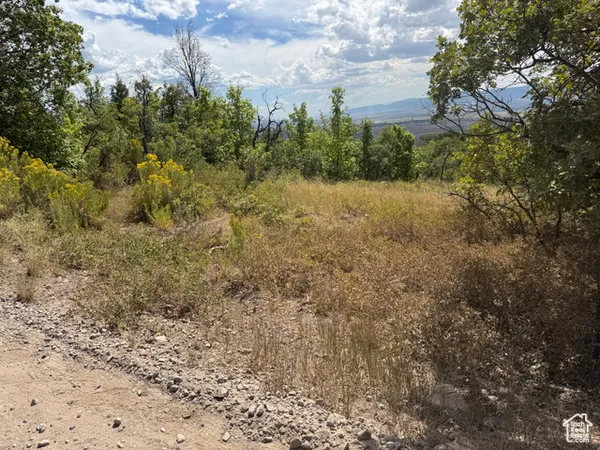 $43,500 | 33 M Juniper Drive, Unit M33, Fairview, UT 84629
