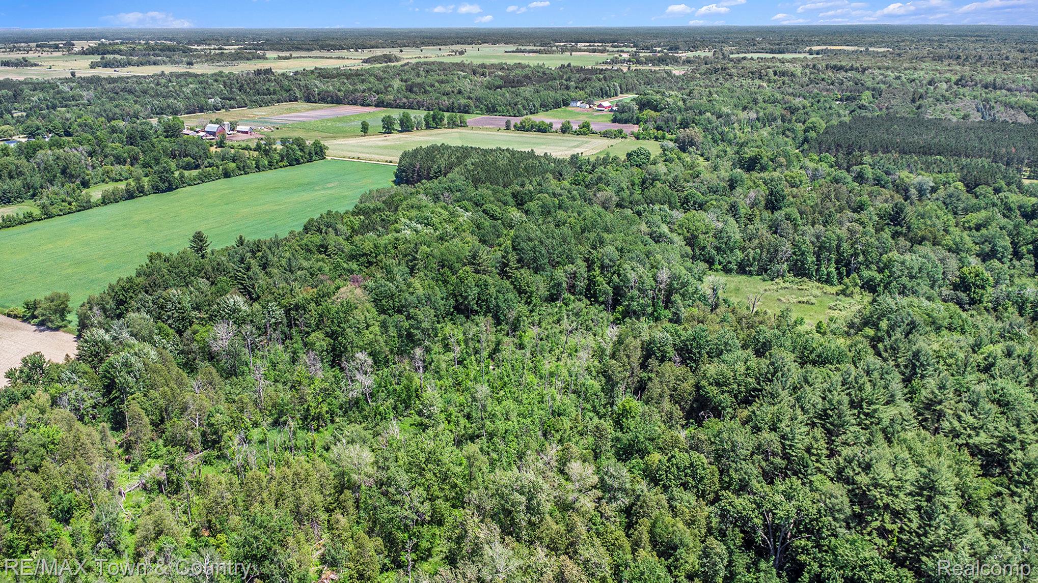 1293 Bellinger Road Gladwin, MI 48624 - Photo 25 of 27 Expansive wooded acreage with mature trees